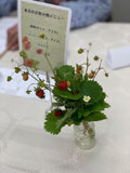 結楽サロン