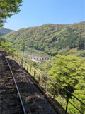 誕生日休暇